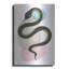 «Snake» par Ayse-2011979399