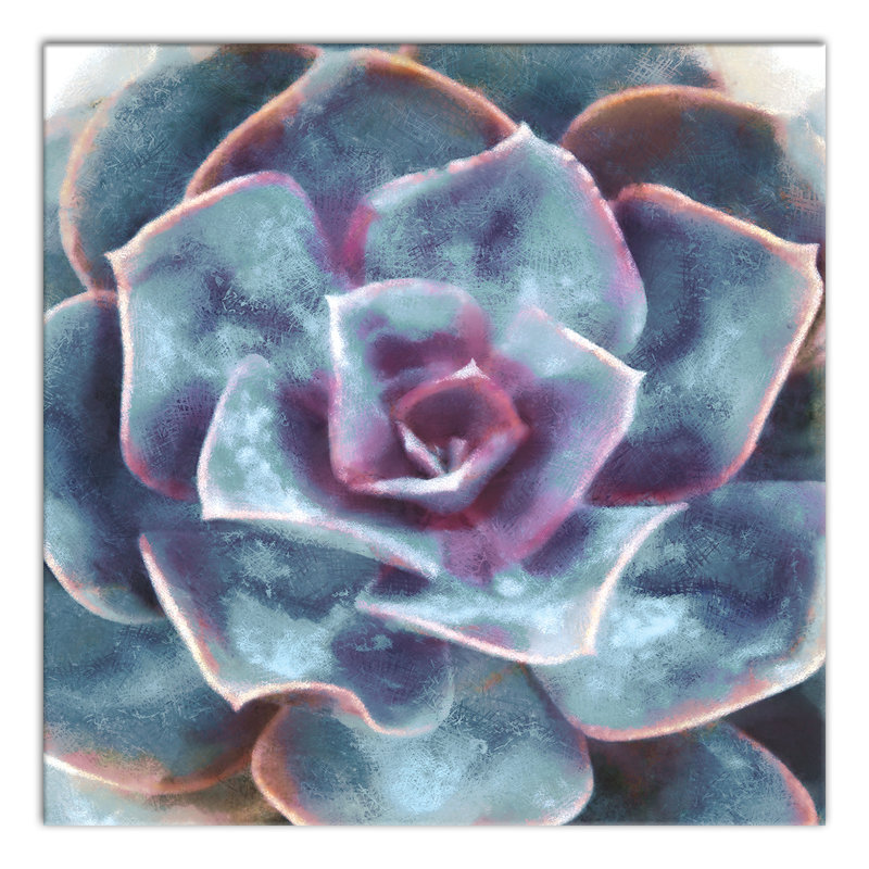 Succulent mauve et bleu sarcelle - sans cadre, H 20 po x l 20 po x P 1,25 po