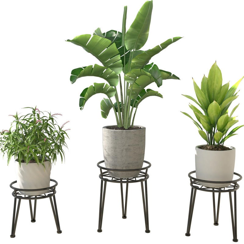 Plant Stand - Set of 3