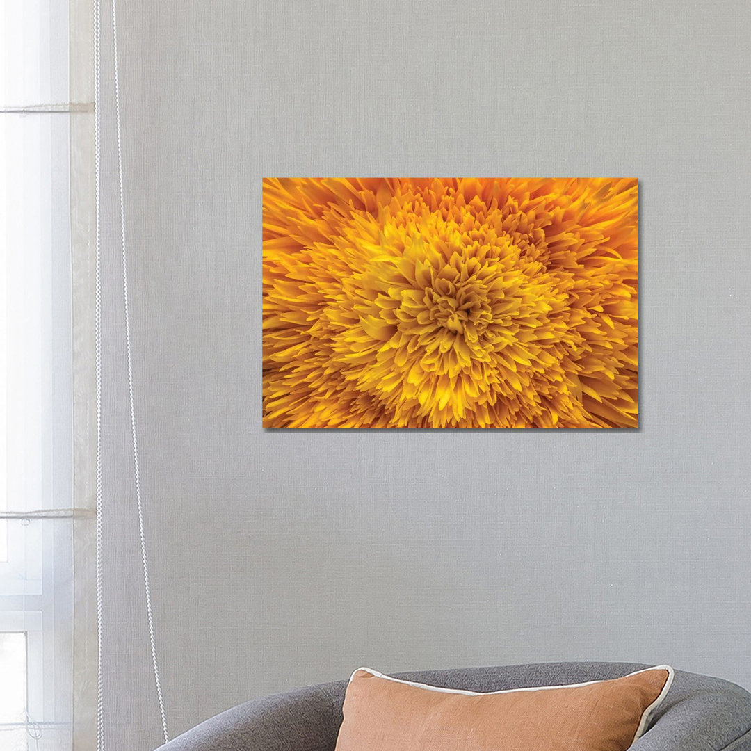 Exotic Sunflower by Glauco Meneghelli - Wrapped Canvas Print