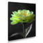 Vert, noir, jardin, glamour, souci, art mural-110988783-148096706