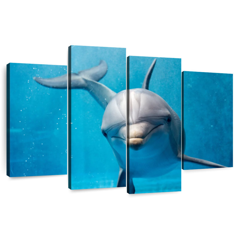 Brampt Friendly Dolphin, 54'' H x 84'' W