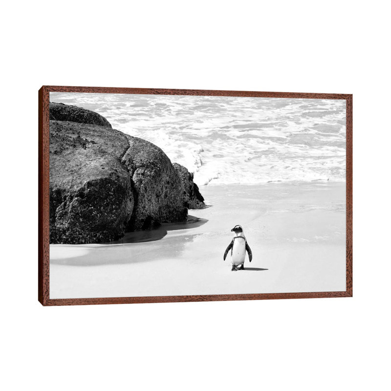 Penguin At Boulders Beach by Philippe Hugonnard - Gallery-Wrapped Canvas Giclée on Canvas, 101.6 cm H x 66.04 cm W