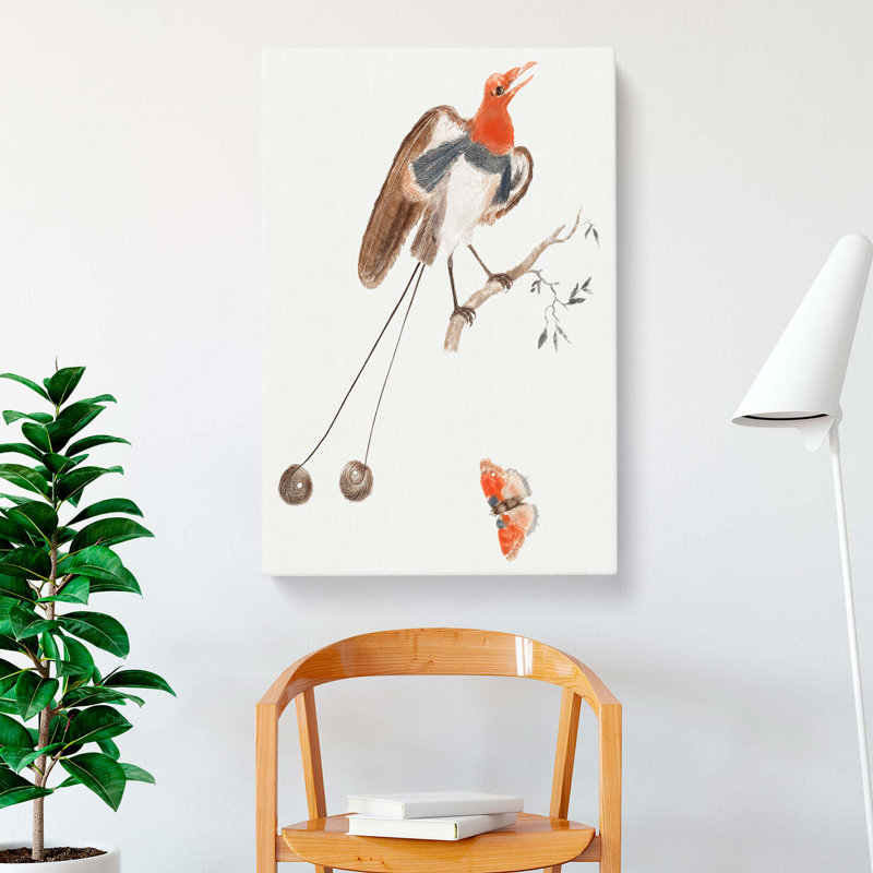 Bird of Paradise & Butterfly by Johan Teyler - Wrapped Canvas, 50cm H x 35cm W x 3cm D