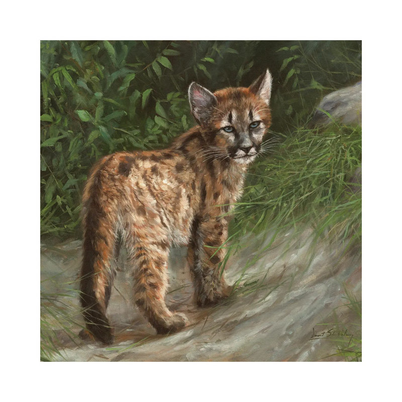 Cougar Cub 1 Piece Painting on Canvas, 93.98 cm H x 93.98 cm W x 1.91 cm D, Wrapped Canvas