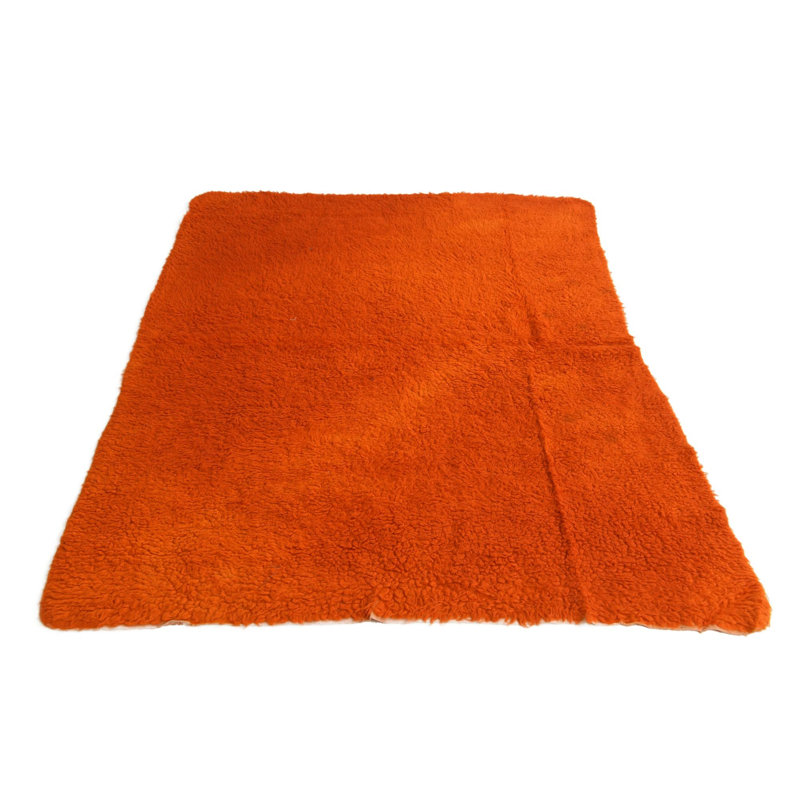 Iraheta Orange Rug