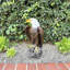 Statue aigle à tête blanche