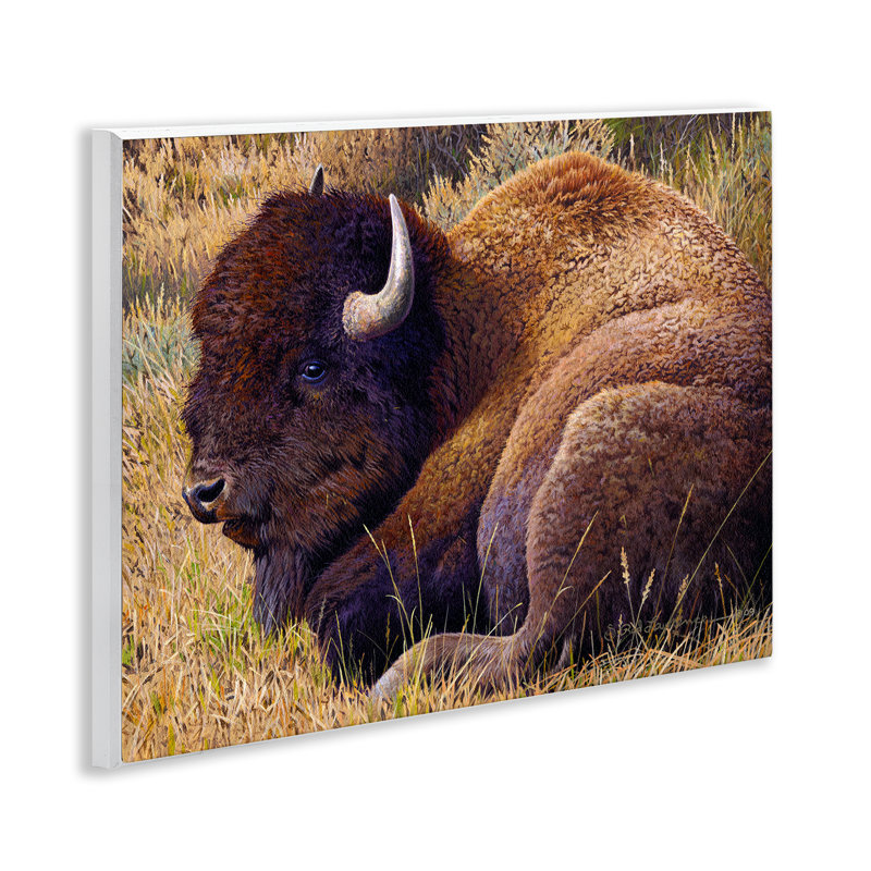Relaxing Young Bison Wall Plaque Art by Rod Lawrence