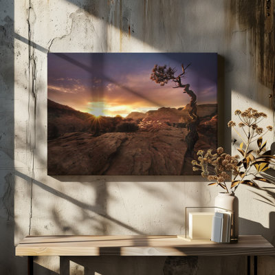 Wrapped Canvas Print