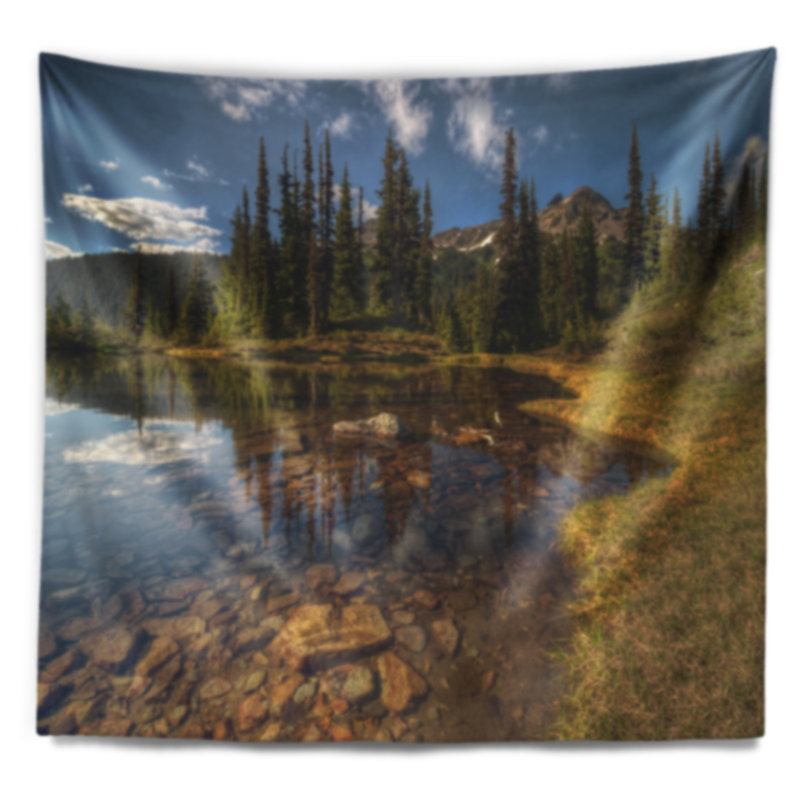 Tapisserie en polyester brillante jour et transparent lake avec accessoires suspendus inclus, H 32 po x l 39 po