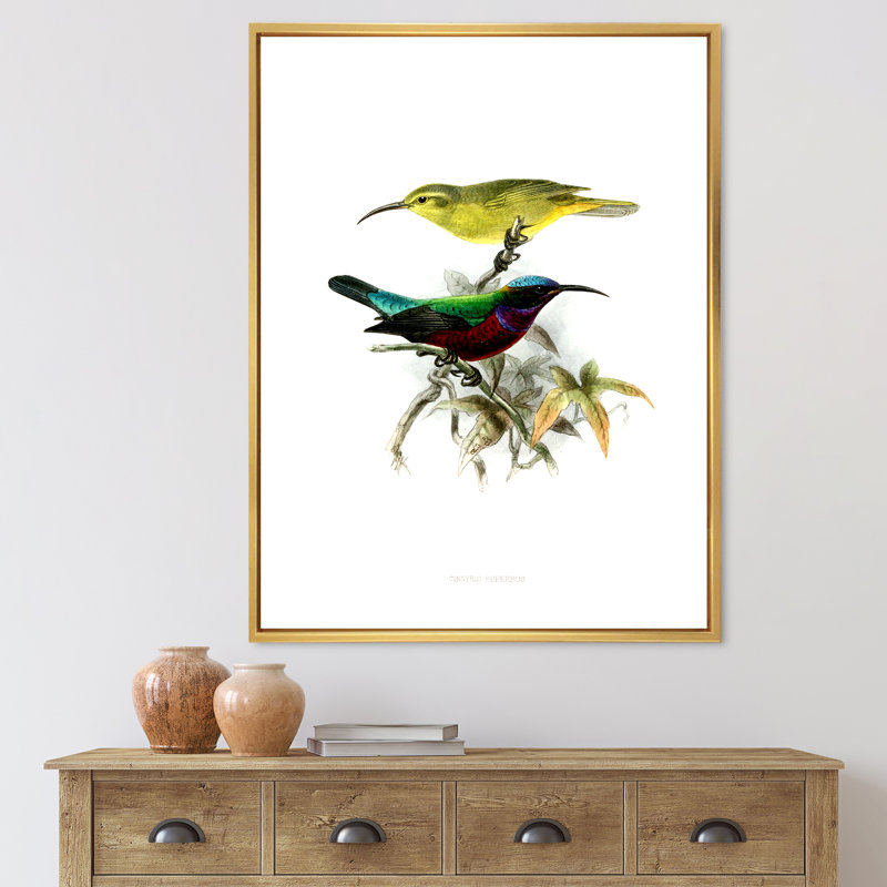 «Vintage Australian Birds XV», impression sur toile, H 20 po x l 12 po x P 1po, Encadrement doré