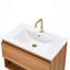 24" Bathroom Vanity(Only Vanity, Without Basin)