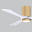 Olivier Ceiling Fan with LED Lights-709095631-768523490-693345874