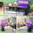 Toria 55'' L-Shaped Desk with Storage, Power Outlets and LED Strip-1009472099