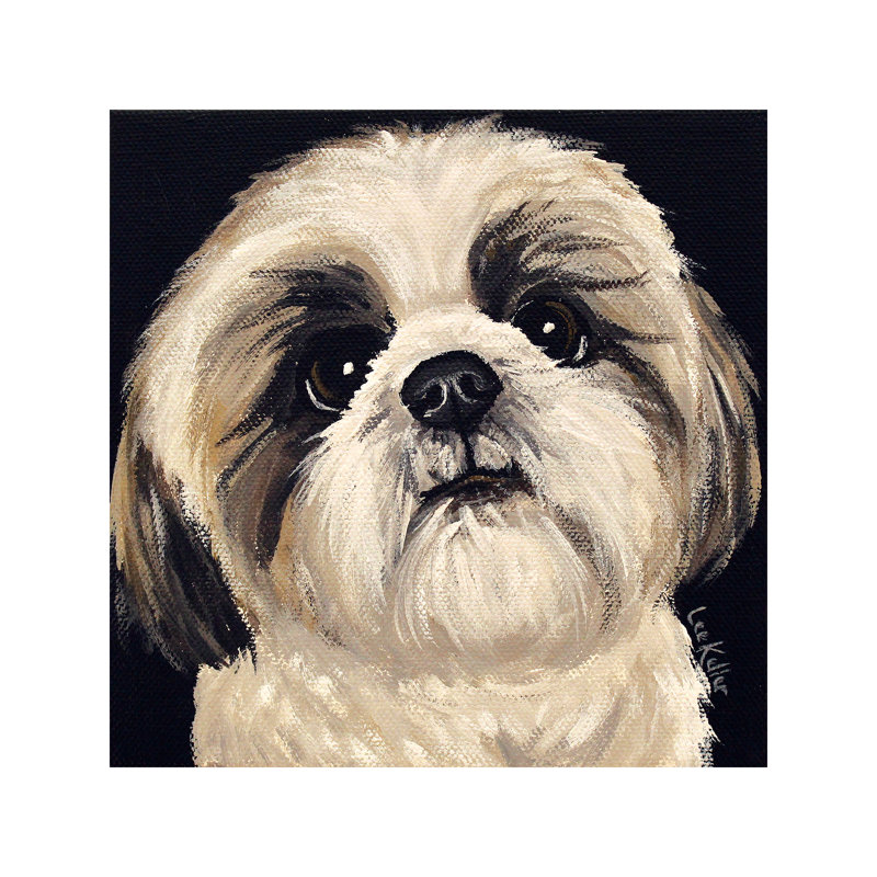Shih Tzu on Black I 1 Piece Wrapped Canvas Wall Art, 45.72 cm H x 45.72 cm W x 3.175 cm D