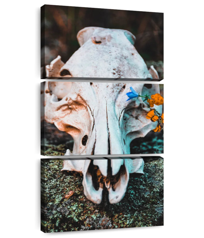 Crâne avec fleurs, H 52 po x l 24 po
