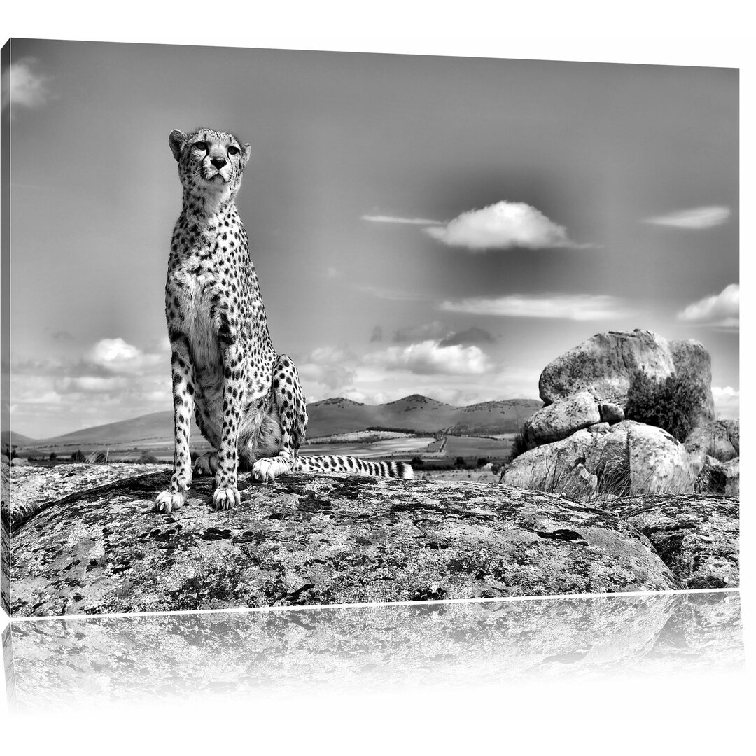 Leinwandbild Wachsamer Gepard in Monochrom