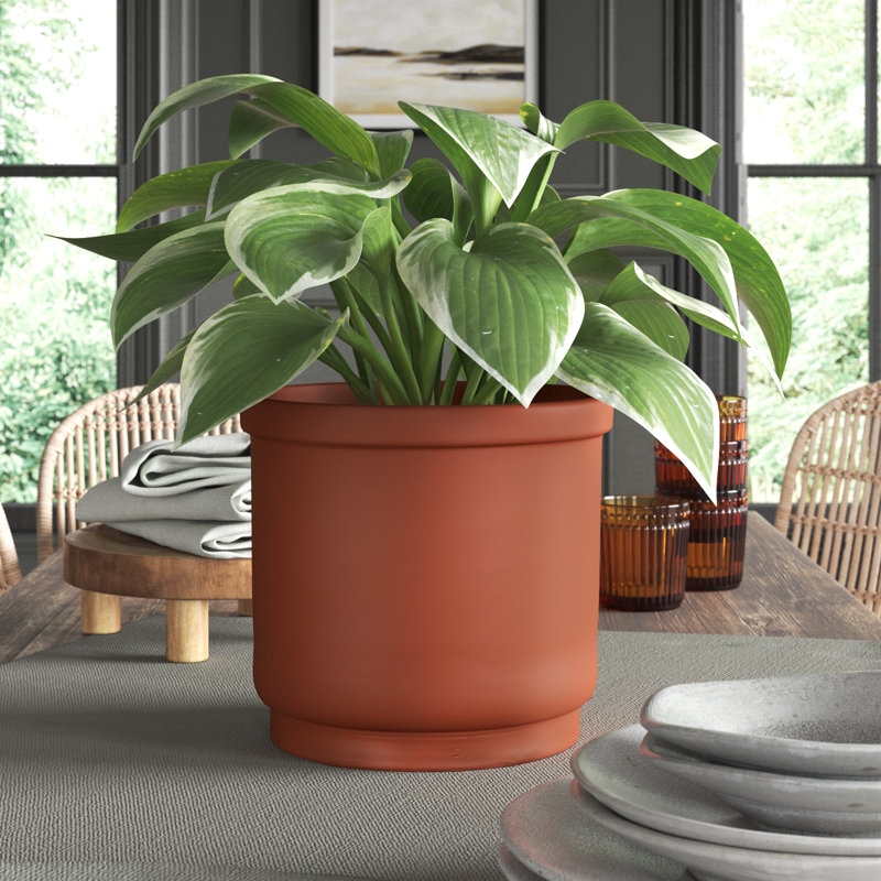 Privet Pot Planter, 9.05" H x 11" W x 11" D