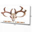 « real cerf antler », impression-29496464-35114479
