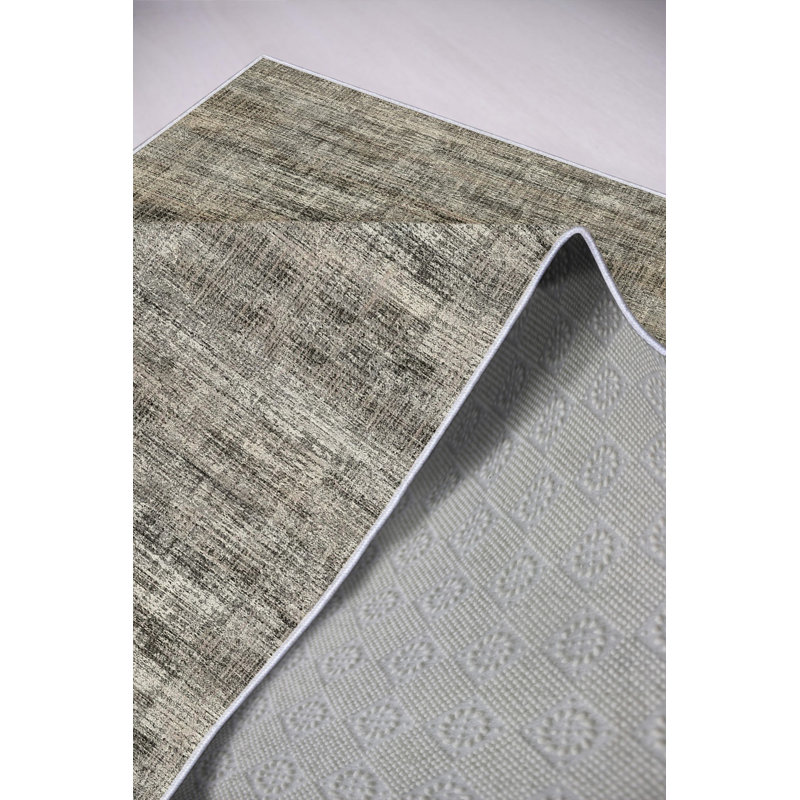 Premium Area Rug (2.6 x 4.0 ft), Grey, 100% Polyester, 650 g/m² | Pile Height: 0.2 in, Digital Print, Antibacterial, Eco-Friendly, Non-Slip PVC Dot Underside | Machine Washable, Ideal for Living Room & Bedroom Décor