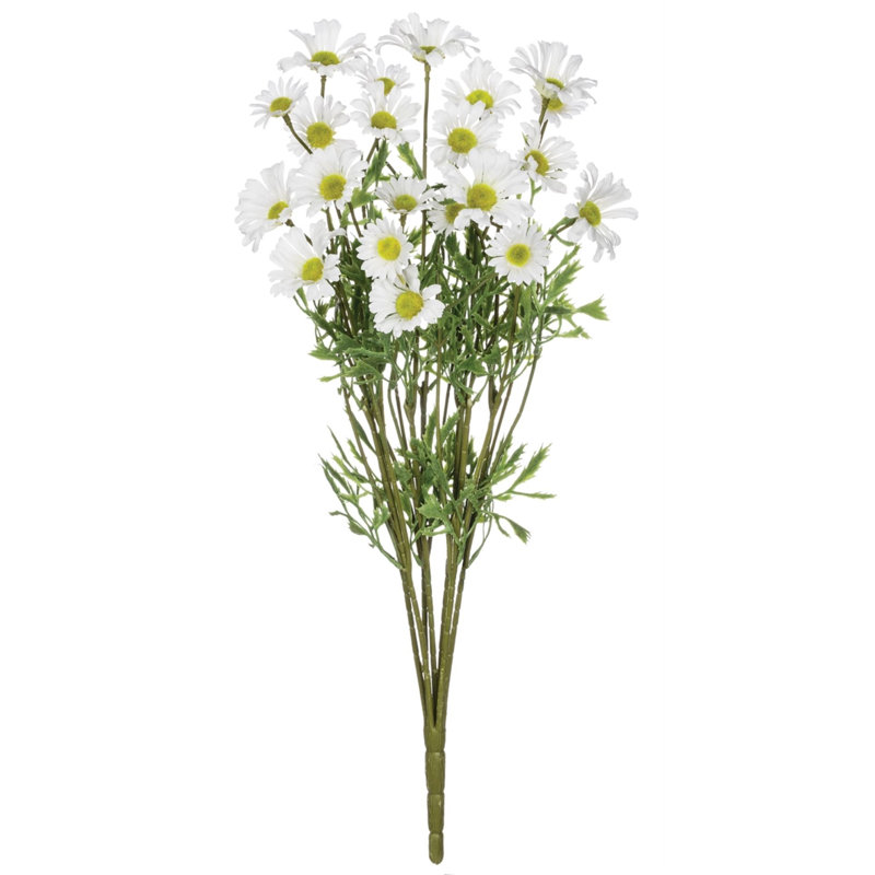 Daisy Arrangement