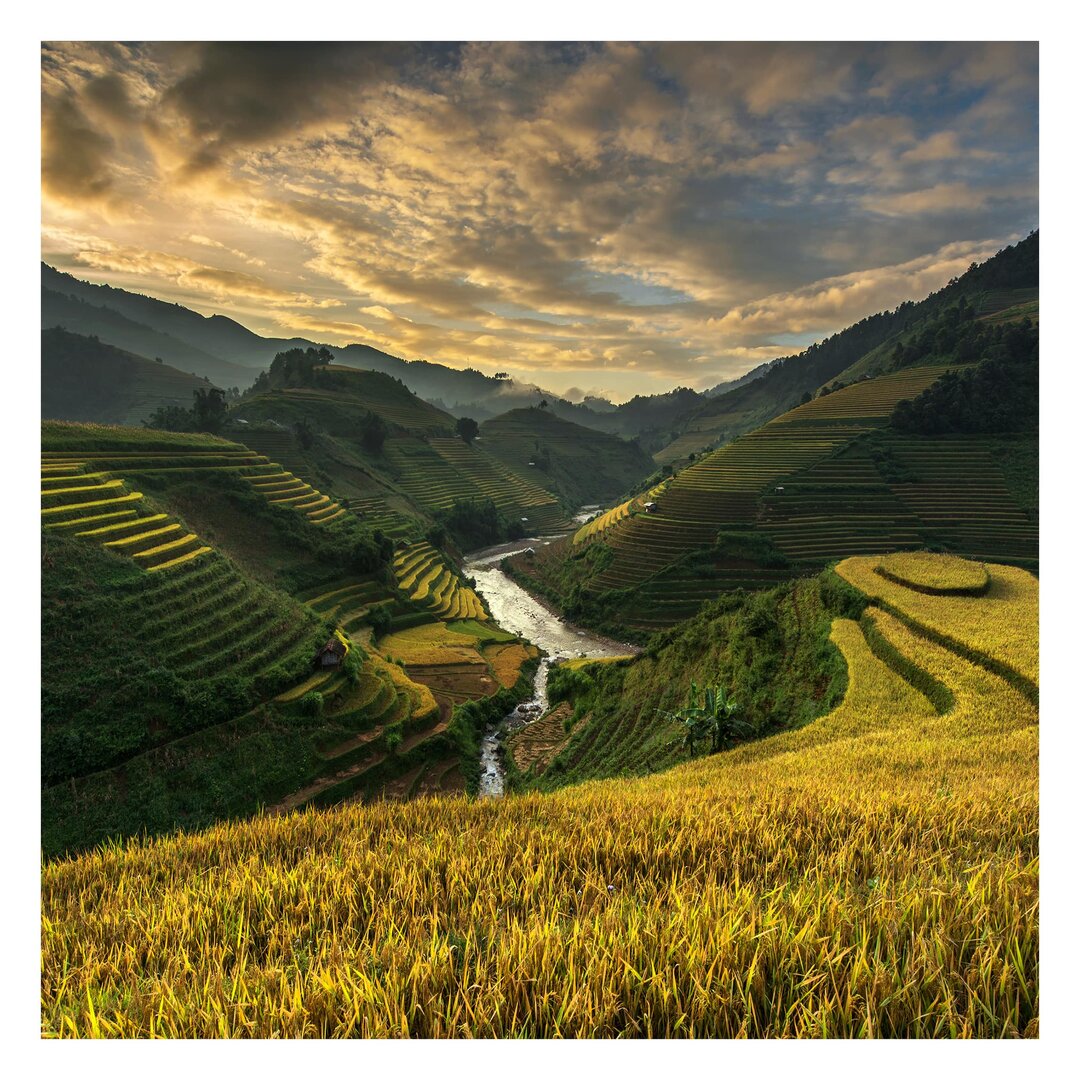 Strukturierte Fototapete Rice Plantation in Vietnam 1,92 m x 192 cm