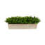 Plante d'eucalyptus artificiel 8 po en pot