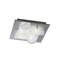 Petrina Glass Flush Mount