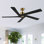 Ventilateur de plafond d'intérieur à 5 pales Baun avec télécommande