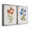 «Botanical I», ensemble de 2 reproductions d'art-272082551-272082544-271774482