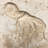 6'' x 6'' Compressed Stone Medallion