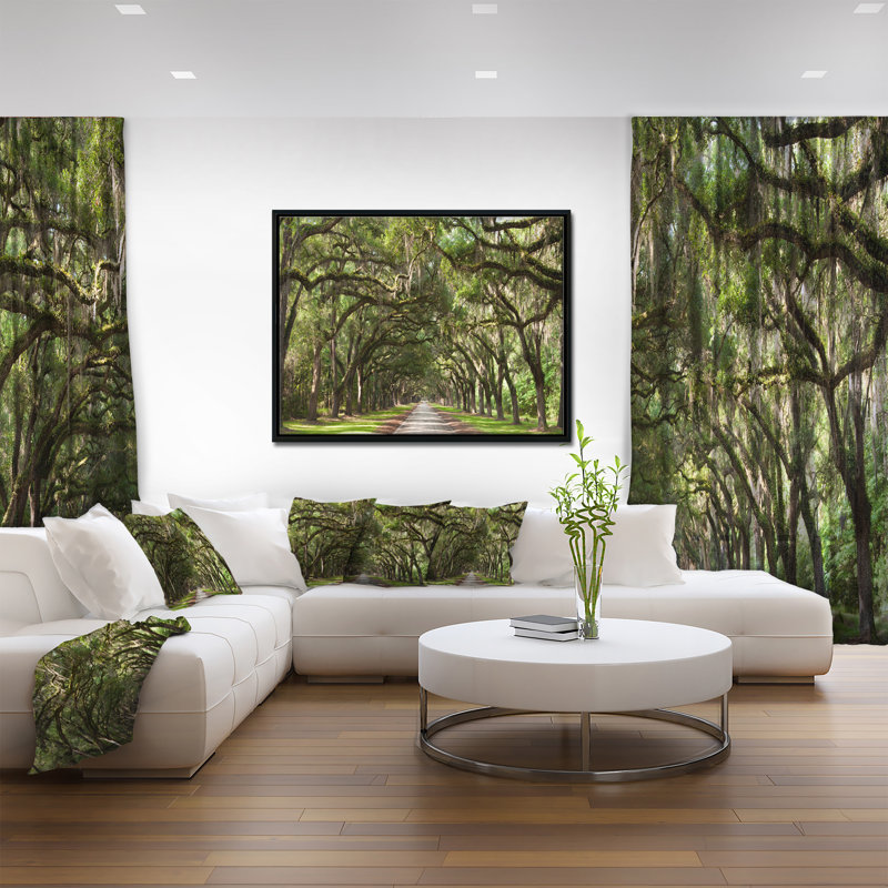 Live Oak Tunnel - Imprimé, H 16 po x l 32 po x P 1 po, Toile avec cadre flottant