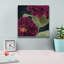 «Epic Graffiti» «Bourgogne Bourgogne 2» par Heidi Kuntz, art mural sur toile, 12 po x 12 po-673848807