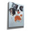 "Boarder Collie" par Barbara Keith-206294612