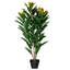 34 po Myrtle Green 34 po