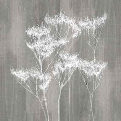 Dried Botanical White Wood II - Wrapped Canvas Art Prints