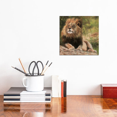 Lion Laying Down by David Stribbling - Wrapped Canvas Painting