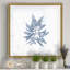 Marine Seaweed II - impression sur toile tendue-1202353315-1202353819