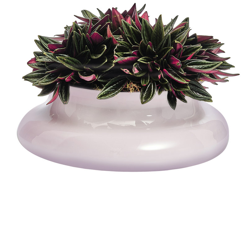 Kurage Handmade Lead Free Crystal Table Vase, Pink