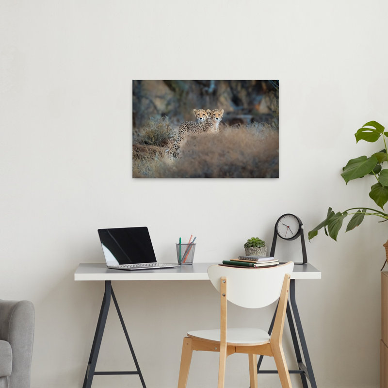 Curious Cheetah Cubs Contemporary Wall Art Print, 60.96cm H x 91.44cm W