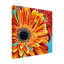 «Color Bursts II» par Carolee Vitaletti, impression sur toile tendue-33517412
