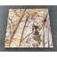 Carrelage en marbre brun 12 po x 12 po Forrest