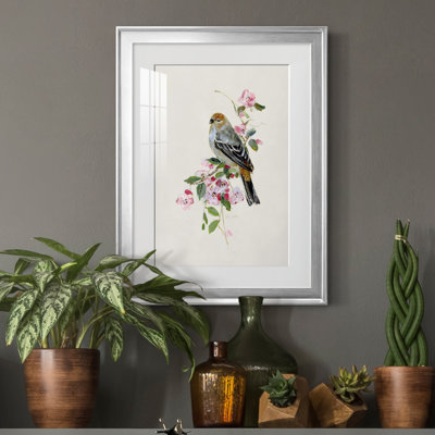 «Spring Song Goldfinch» - peinture encadrée