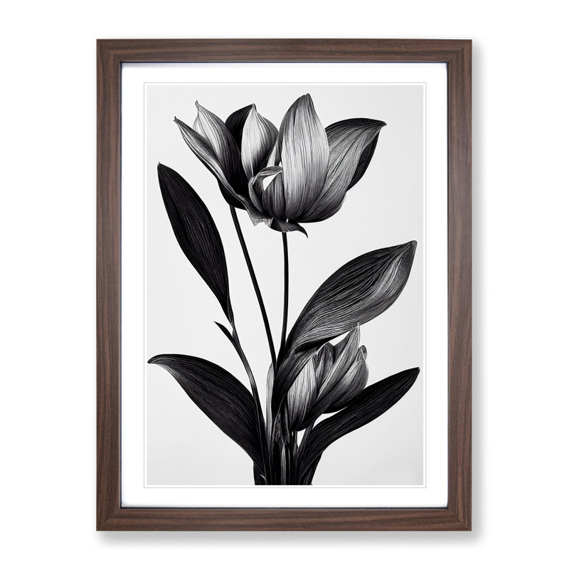 XV1022-2844X Monochrome Flower - Single Picture Frame Painting, Walnut, 46cm H x 34cm W x 2cm D