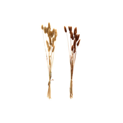 Natural Fibres Arrangement