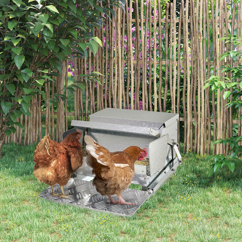 Mangeoire automatique pour poulets Pawhut d'une capacité de 25 lb avec une fabrication en acier galvanisé et en aluminium, conception résistante aux intempéries