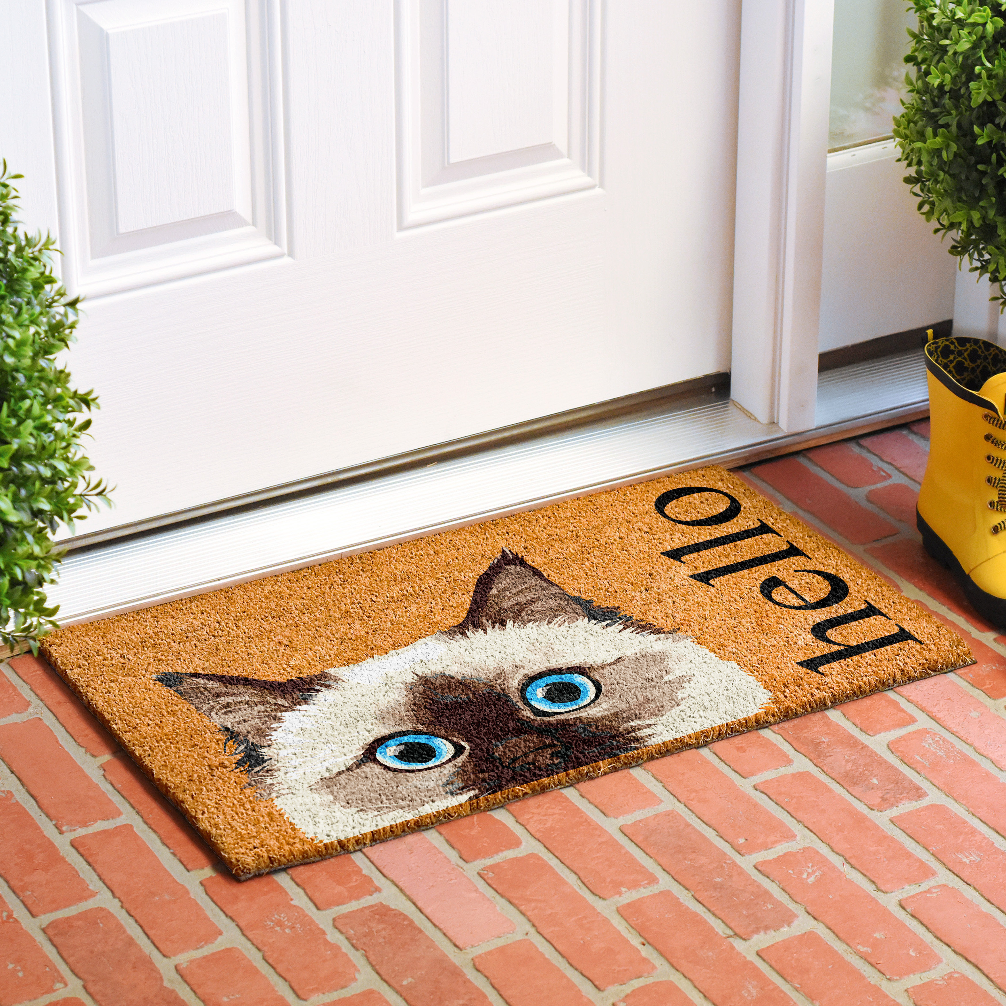 https://assets.wfcdn.com/im/29514617/compr-r85/2159/215944082/non-slip-outdoor-doormat.jpg