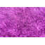 Tapis mauve à poil long Rauch