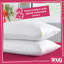 Snug Blissful Bedtime Pillows