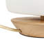 Mijan Solid Wood Novelty Lamp